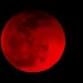 “Lua de Sangue”. Eclipse lunar deste domingo, 7 de setembro, será visível parcialmente em Portugal