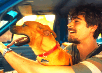 Caramelo estreia na Netflix e emociona público com história de amizade entre homem e cão