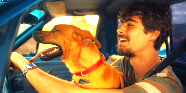 Caramelo estreia na Netflix e emociona público com história de amizade entre homem e cão
