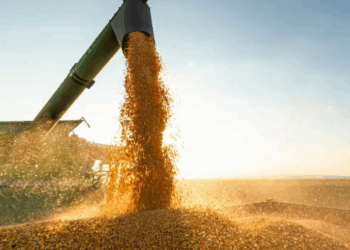 Agropecuária ajudou oito estados a crescerem mais que o Brasil em 2023