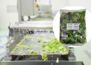 No turno invisível: indianos, nepaleses e bengalis que sustentam a produção noturna em Portugal