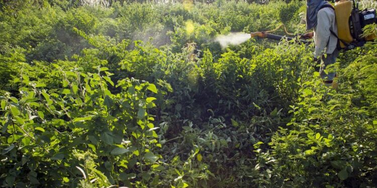 Uso de agrotóxicos nas lavouras brasileiras aprofunda desigualdade e afeta os mais vulneráveis