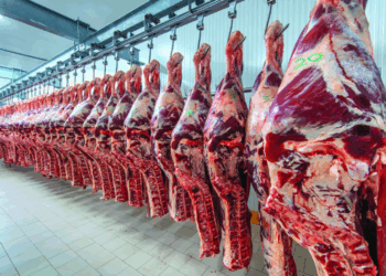 Produtores de carne de Minas Gerais temem perdas após China definir cotas e tarifa de 55%