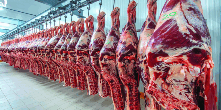Produtores de carne de Minas Gerais temem perdas após China definir cotas e tarifa de 55%