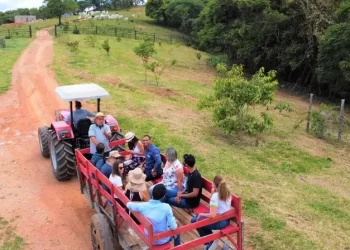 Turismo rural cresce em Minas Gerais e impulsiona hotelaria e gastronomia em 2026