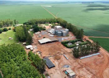 Produção de soja responsável avança no Brasil com agricultura regenerativa