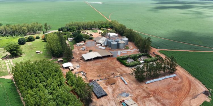 Produção de soja responsável avança no Brasil com agricultura regenerativa