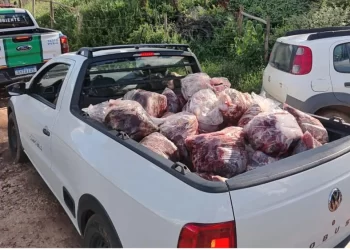 PM apreende 800 kg de carne de abates clandestinos em Campo Belo (MG)