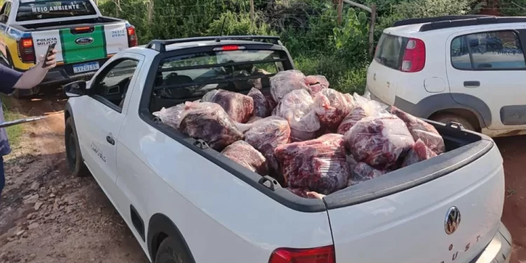 PM apreende 800 kg de carne de abates clandestinos em Campo Belo (MG)