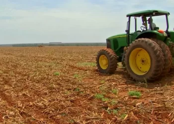 Agronegócio brasileiro bate recorde em 2025 e emprega 28,6 milhões de pessoas