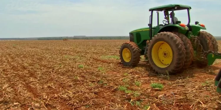 Agronegócio brasileiro bate recorde em 2025 e emprega 28,6 milhões de pessoas