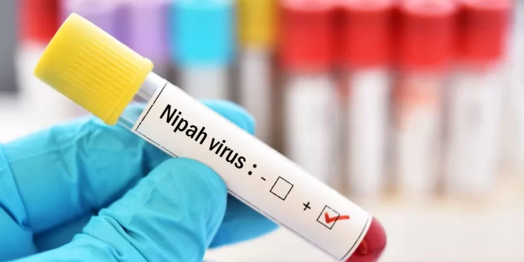 Vírus Nipah confirmado na Índia: risco global é baixo, diz OMS