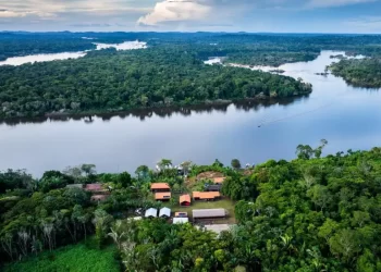 Fundo Amazônia aplica R$ 80 milhões para produção agrícola comunitária