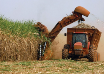 Safra de cana 2026/2027 deve aumentar produção e tornar etanol mais competitivo que a gasolina