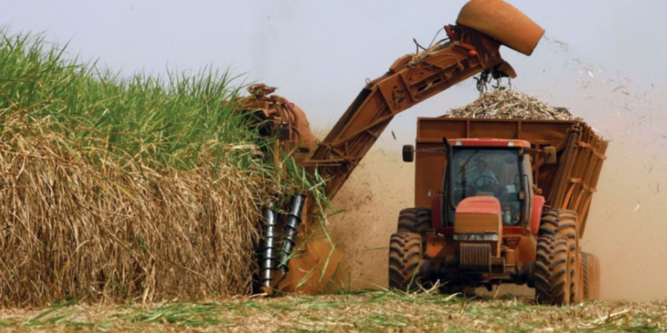 Safra de cana 2026/2027 deve aumentar produção e tornar etanol mais competitivo que a gasolina