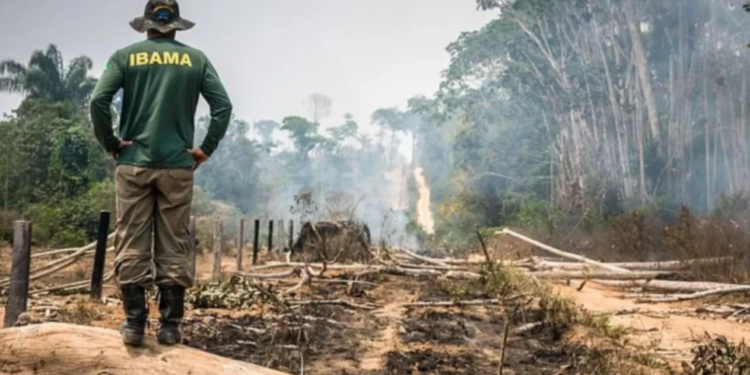 Câmara dos Deputados aprova projeto que limita uso de satélites em fiscalizações ambientais do Ibama