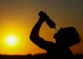 Maioria das cidades do Brasil não tem plano de ação para calor extremo