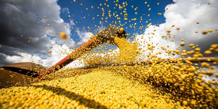 Conab: produção de grãos pode chegar a 358,6 milhões de toneladas