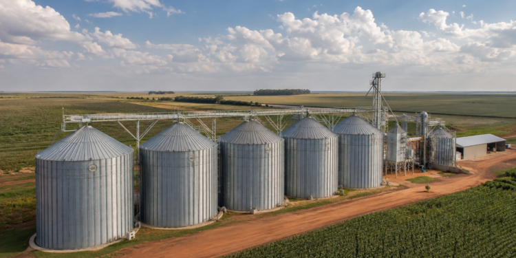 Nova lei torna voluntária a certificação de armazéns agropecuários no Brasil