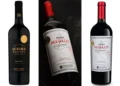 Vinhos brasileiros de Merlot conquistam ouro e prata em concurso internacional na Suíça