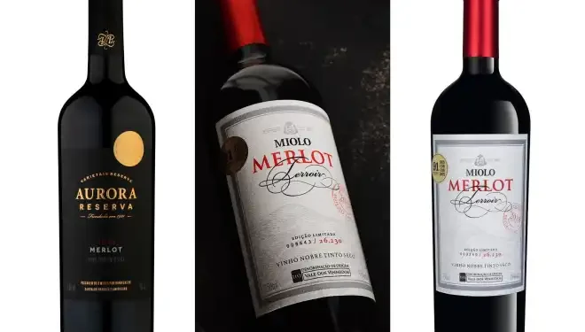 Vinhos brasileiros de Merlot conquistam ouro e prata em concurso internacional na Suíça