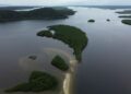 O que é carbono azul? Entenda como os oceanos ajudam o planeta