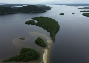 O que é carbono azul? Entenda como os oceanos ajudam o planeta