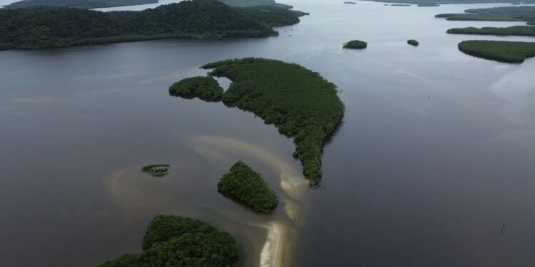 O que é carbono azul? Entenda como os oceanos ajudam o planeta