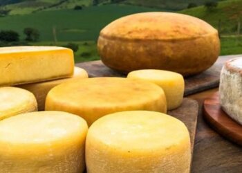 Festival do Queijo Artesanal de Minas impulsiona novos produtores e movimenta economia rural