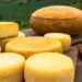 Festival do Queijo Artesanal de Minas impulsiona novos produtores e movimenta economia rural