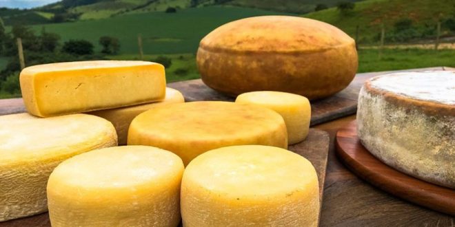 Festival do Queijo Artesanal de Minas impulsiona novos produtores e movimenta economia rural