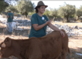 Aos 28 anos Anabela Prazeres deixou o escritório na cidade e escolheu a vida no campo
