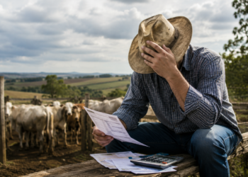 Agro de Minas Gerais enfrenta pressão financeira com aumento de recuperações judiciais