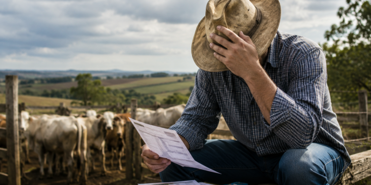 Agro de Minas Gerais enfrenta pressão financeira com aumento de recuperações judiciais