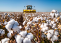 Seguro rural ganha novas regras e amplia proteção para produtores no Brasil