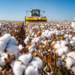 Seguro rural ganha novas regras e amplia proteção para produtores no Brasil