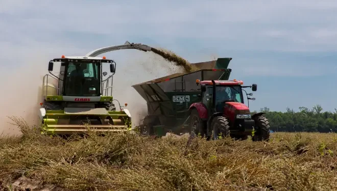Soja e milho avançam nas exportações; preço do frete muda em várias regiões