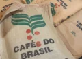 Safra recorde: Brasil deve colher 67,6 milhões de sacas de café em 2026