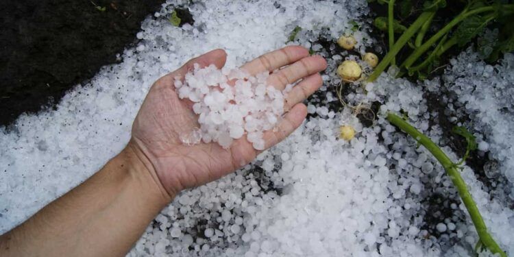 Tempestades e granizo: 492 cidades de Minas Gerais estão sob alerta nesta terça-feira (1º)