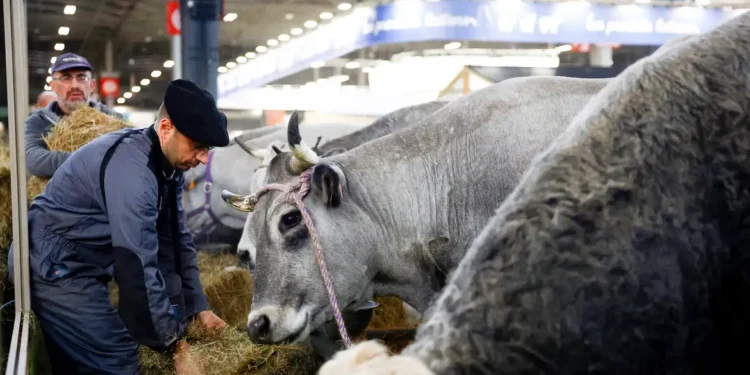 França registra primeiro caso humano do vírus Shamonda