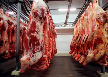 Carne brasileira passa a pagar tarifa de 67% para entrar na China; entenda o motivo