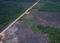 Desmatamento cai na Amazônia e no Cerrado e atinge os menores índices das séries históricas