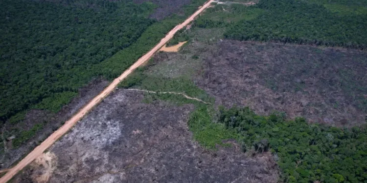Desmatamento cai na Amazônia e no Cerrado e atinge os menores índices das séries históricas