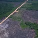 Desmatamento cai na Amazônia e no Cerrado e atinge os menores índices das séries históricas